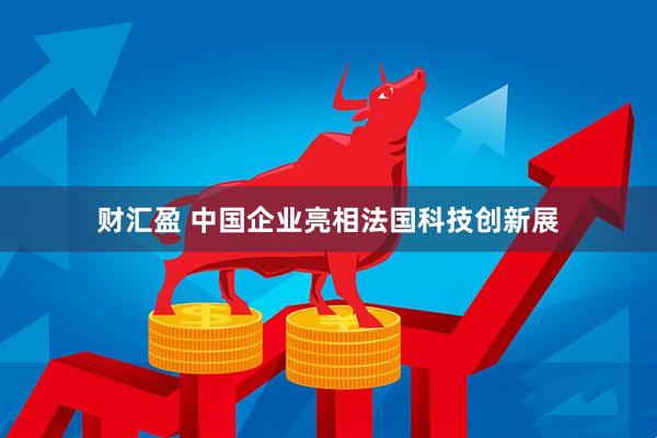 财汇盈 中国企业亮相法国科技创新展