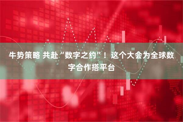 牛势策略 共赴“数字之约”！这个大会为全球数字合作搭平台