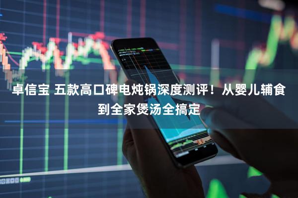 卓信宝 五款高口碑电炖锅深度测评！从婴儿辅食到全家煲汤全搞定