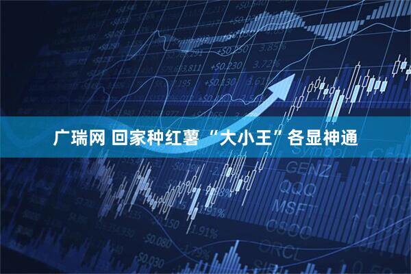 广瑞网 回家种红薯 “大小王”各显神通