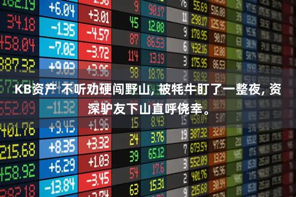KB资产 不听劝硬闯野山, 被牦牛盯了一整夜, 资深驴友下山直呼侥幸。